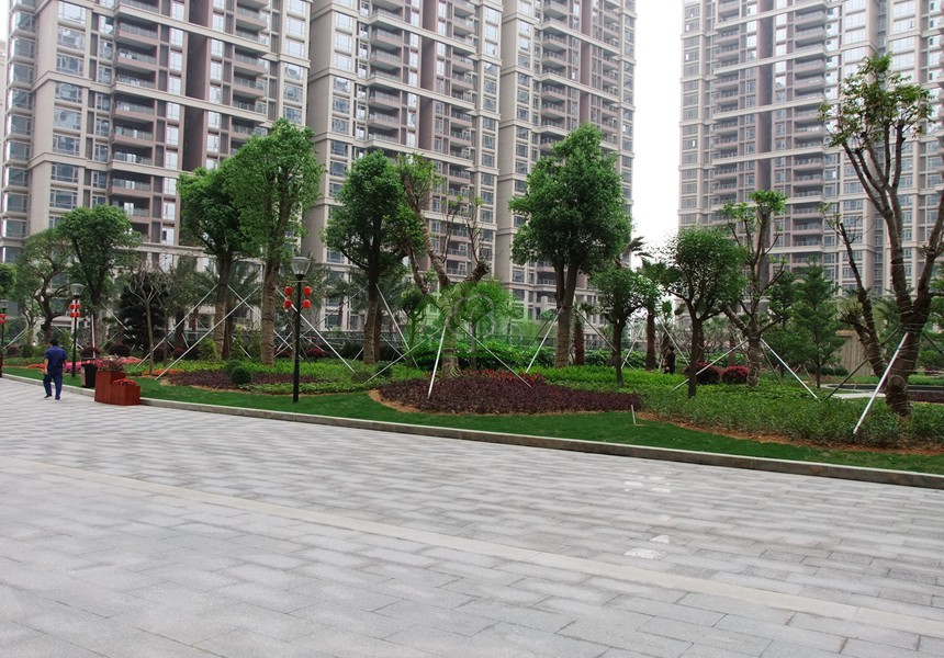 虎门龙泉豪苑绿化工程