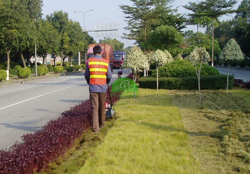 道路绿化养护